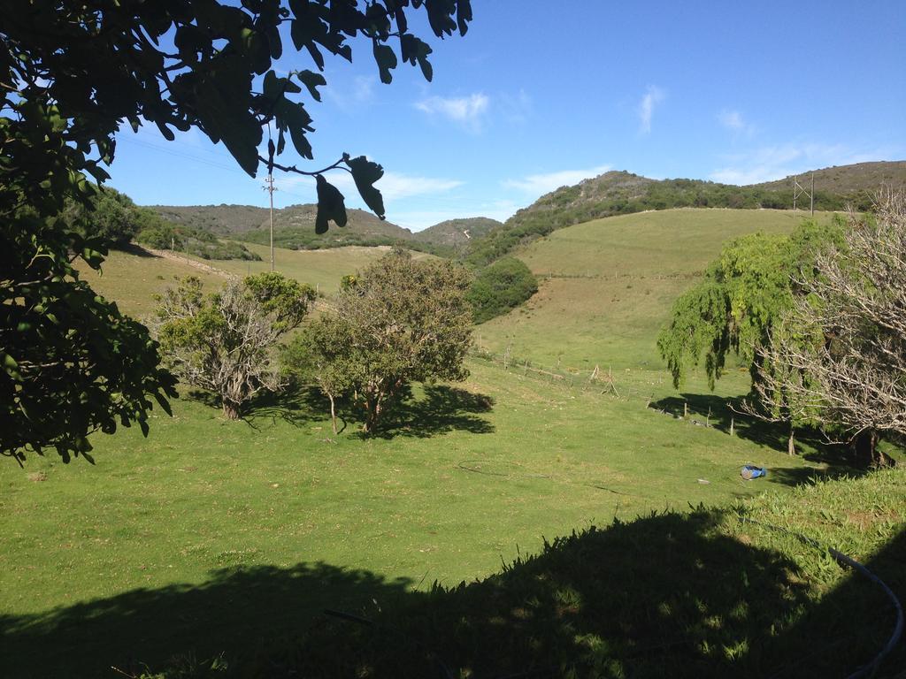 Appartamento Waterryk Eco Guest Farm Stilbaai Esterno foto